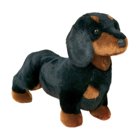 Spats the Black & Tan Dachshund