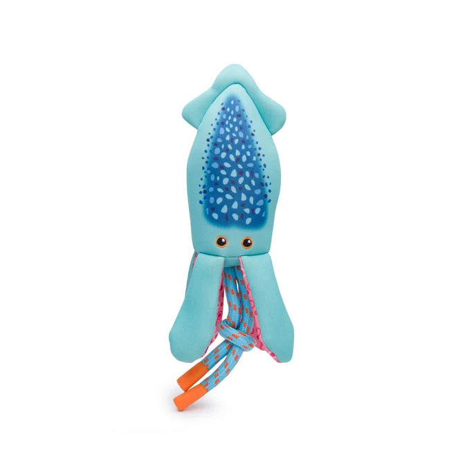 Floatie Squid Toy