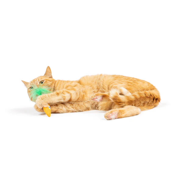 Hoppy Easter Cat Toy