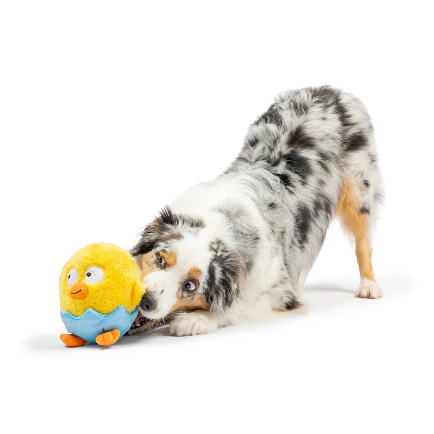 Chick-A-Dee Dog Toy - Large