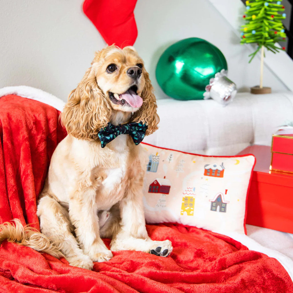 Holiday Pet Bowtie - Holly Leaf