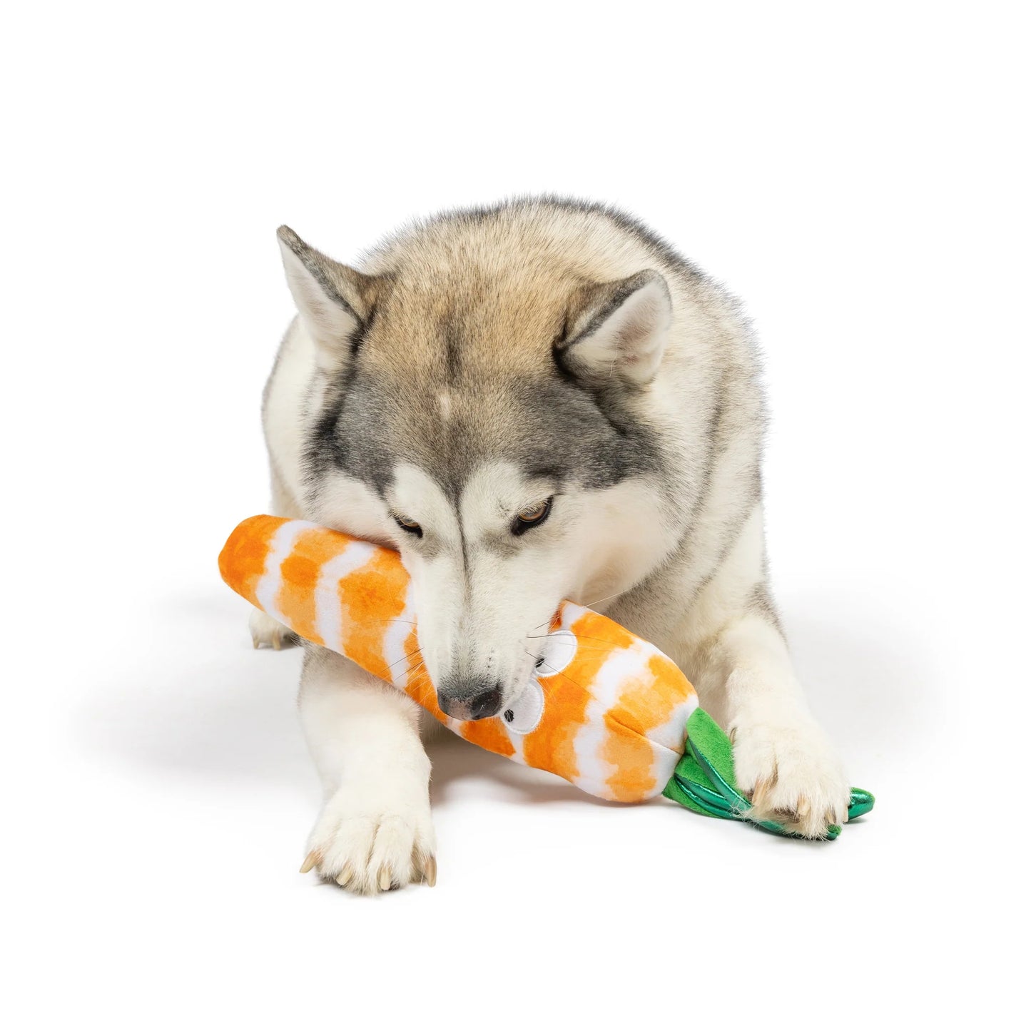 Sweet Carrot Dog Toy - Small