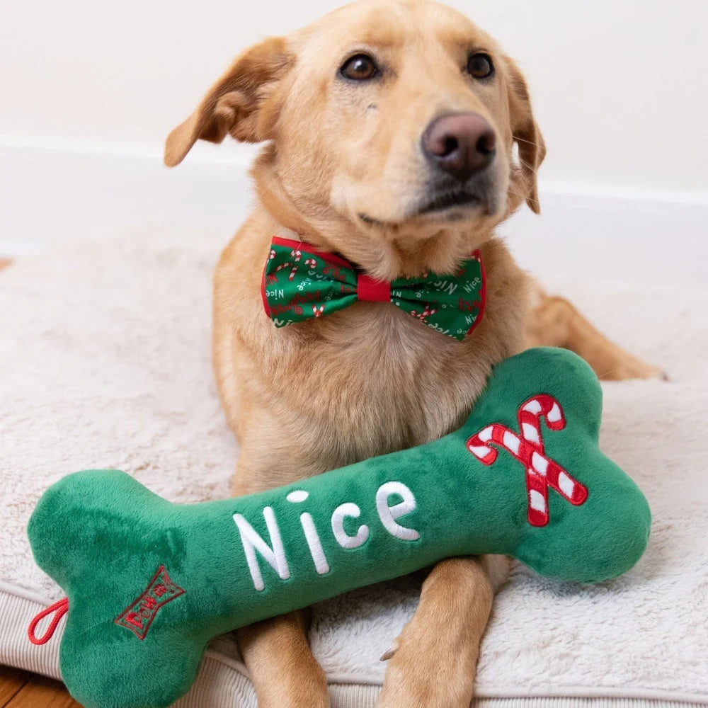 Naughty Nice Bone Dog Toy (Multiple Sizes Available)