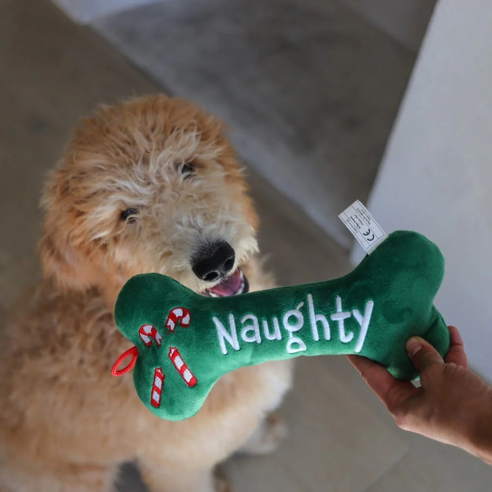 Naughty Nice Bone Dog Toy (Multiple Sizes Available)