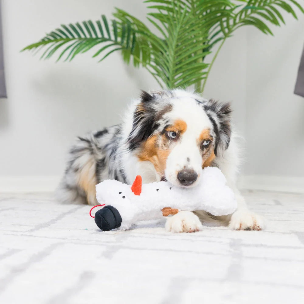 Snowman Bone Dog Toy